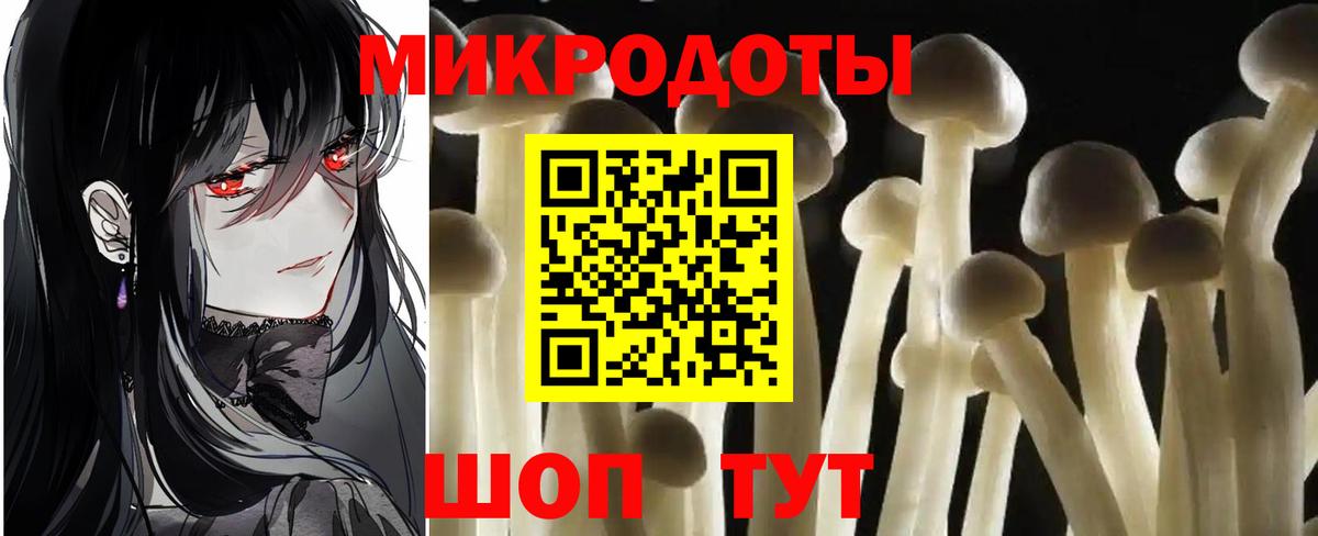 Гусиноозёрск  Галлюциногенные грибы GOLDEN TEACHER  как найти   Вход с VPN 