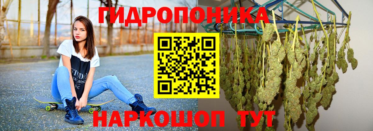 Марихуана Bruce Banner  Шишки марихуана AK-47  Гусиноозёрск  Марихуана сатива  Вход с VPN 